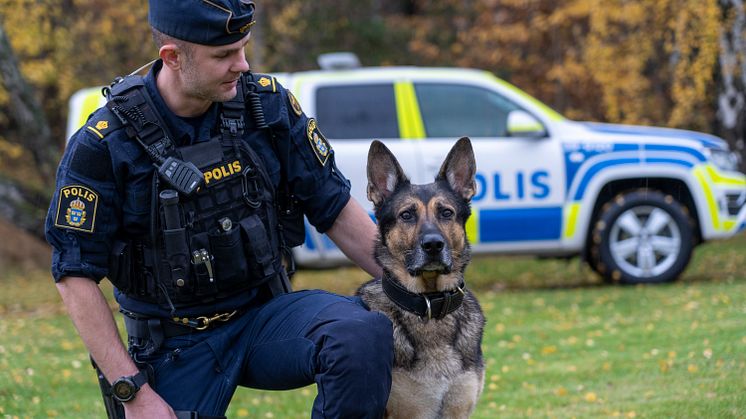 Årets polishund 2020