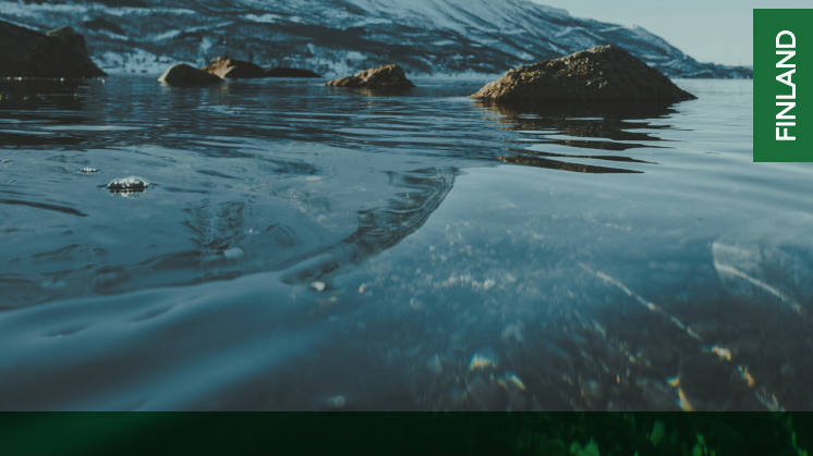 Official Report Finland - Sustainable Brand Index 2020 