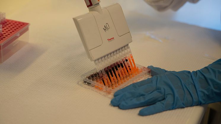 Pipettering.jpeg