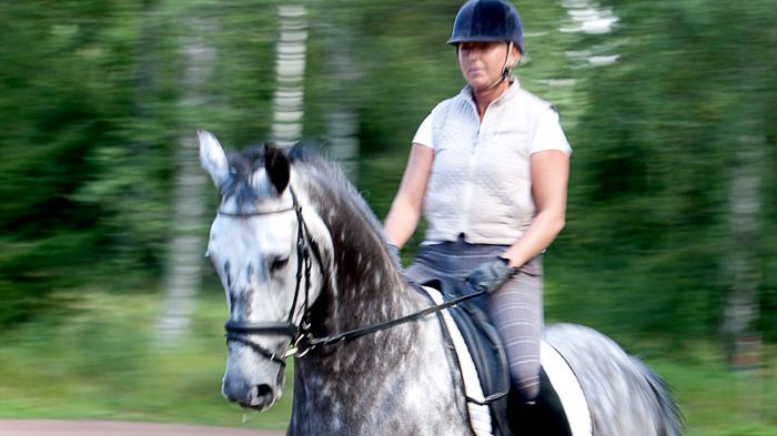 Fyra nya sporter ingår nu i friskvårdsbidraget 