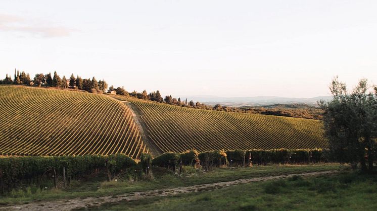 En vanlig kille i Toscana