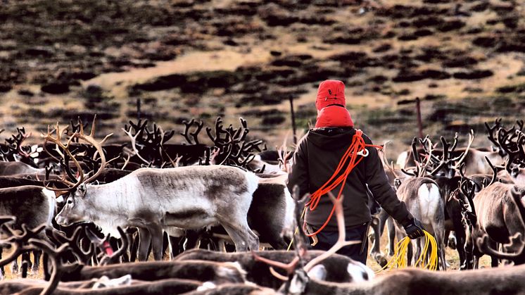 Målet är att mildra markkonflikter i Sápmi