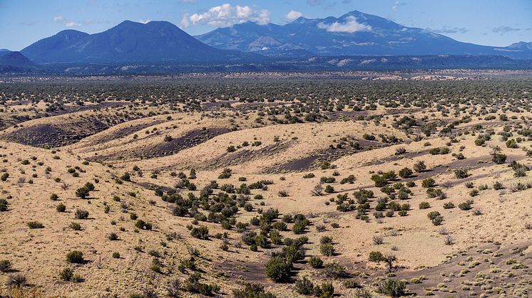 San Francisco Peaks