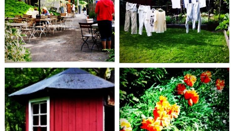 Formex invites you to the greens of summer in January
