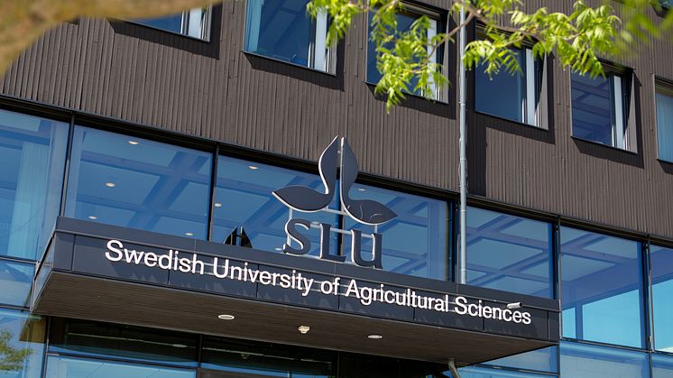SLU_240522_7240_jsg.jpg
