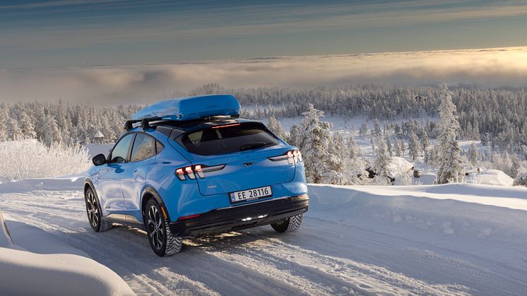 Ford Mustang Mach-E Vinter 2022