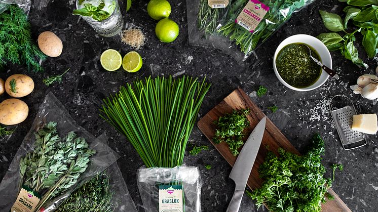 Daily Greens kryddörter har en kraftigare arom och smak och lämpar sig väl för matlagning och som smaksättare i dryck.