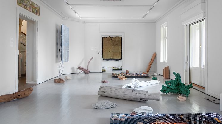 Symbiotic Stories_Jakob Oredsson_Galleri F15_02