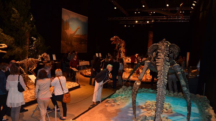 Skolor satsar på dinosaurietema