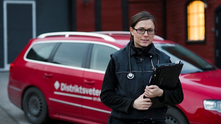 Säker tillgång till veterinär i området Hallsberg och Bergslagen