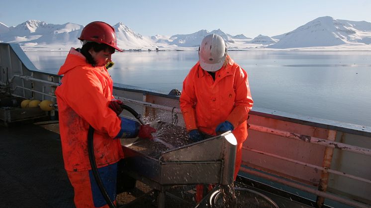 Prøvesortering forskningsfartøy