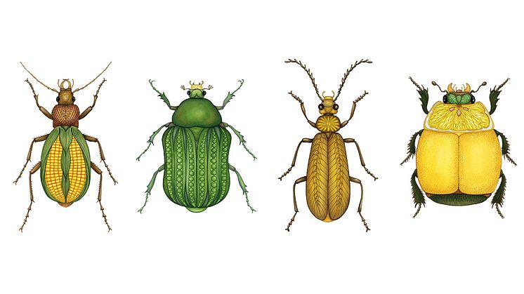 ”Majsbaggen”, ”Ärtbaggen”, ”Vetebaggen” och ”Citronbaggen” är några av SilverAnna Daniels fantastiska insekter.﻿
