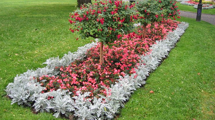 Förtjusta sommarblommor i rabatter och urnor