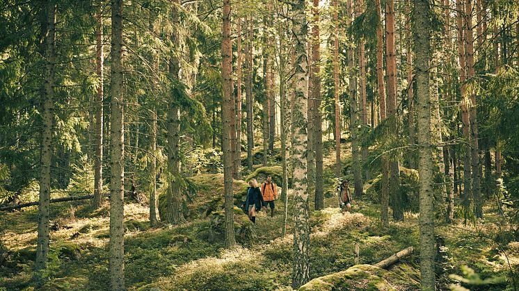 Grym Evo Jacket_scenic