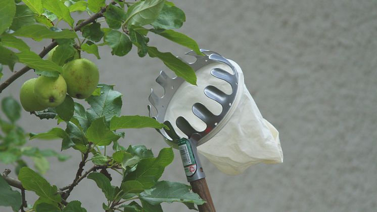 Äppelplockare eller fruktplockare