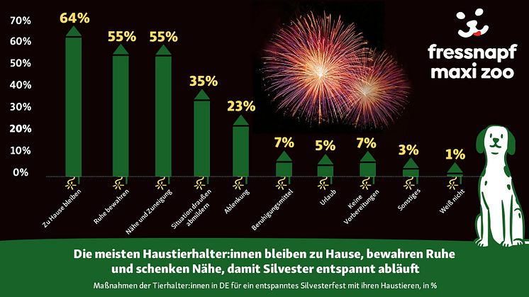 DE_Allgemein_Infografik PR Silvester 1920 x 1080 DE-2.jpg
