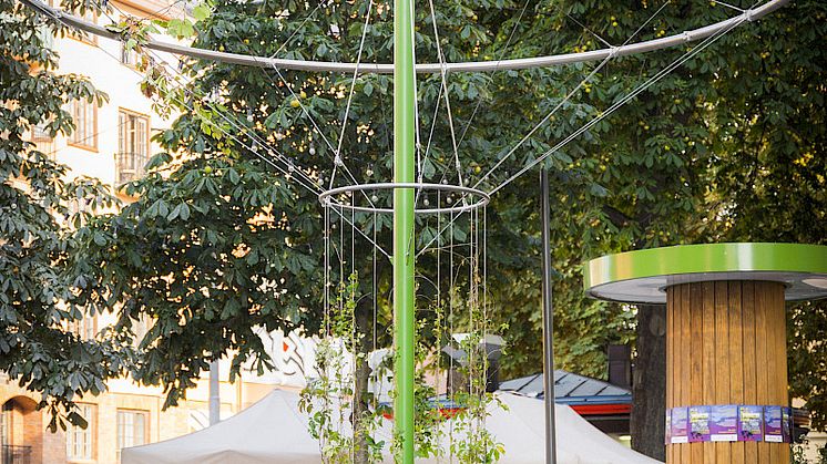 Arbory
