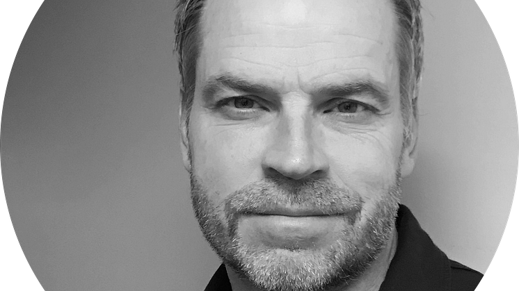 Mattias Lindström, Zebra