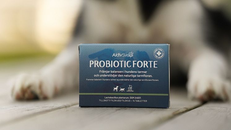 Aktivsvea Probiotica Forte fotograf: Jenny Carlsson