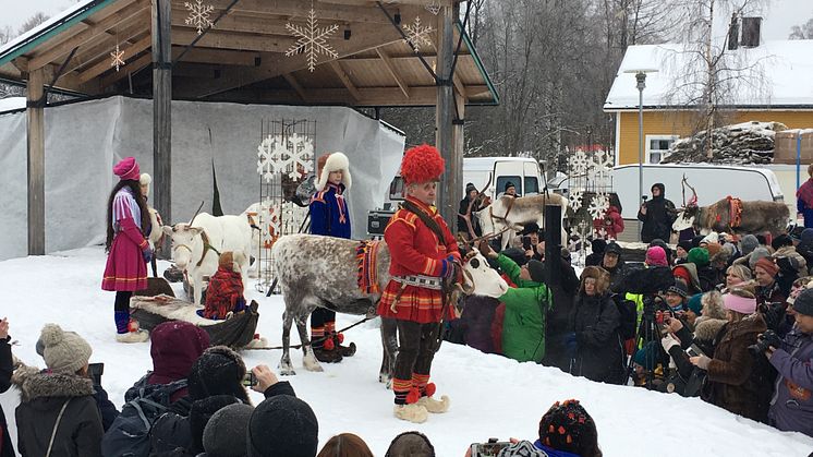 Renrajden med Per Kuhmunen och hans familj är en stående programpunkt på Jokkmokks marknad. 