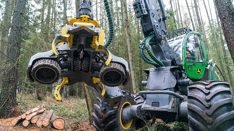 Ökologischer Ausgleich: Langfristig lassen Bayernwerk Netz und Bayerische KulturLandStiftung in Raumetengrün einen klimastabilen Zukunftswald entstehen.