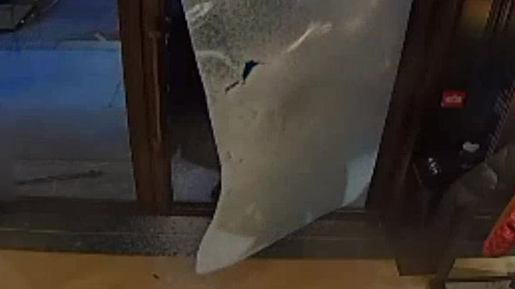 Robbery_video.mp4