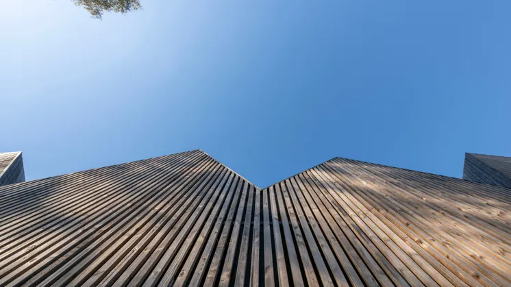 Bestehende Lichtungen, alter Baumbestand und die natürliche Topografie bestimmen die Architektur des SANCTUM Nature Therapy R