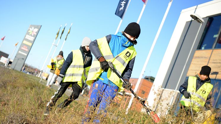 Gränbystädning 2018 med IF VP P06