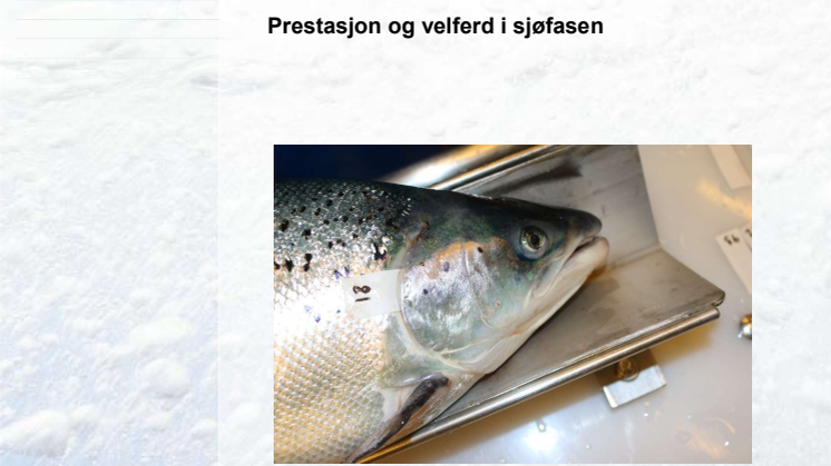 APN 8290-01. Akvaplan-niva Sluttrapport Utsett I FoU T-TN-17