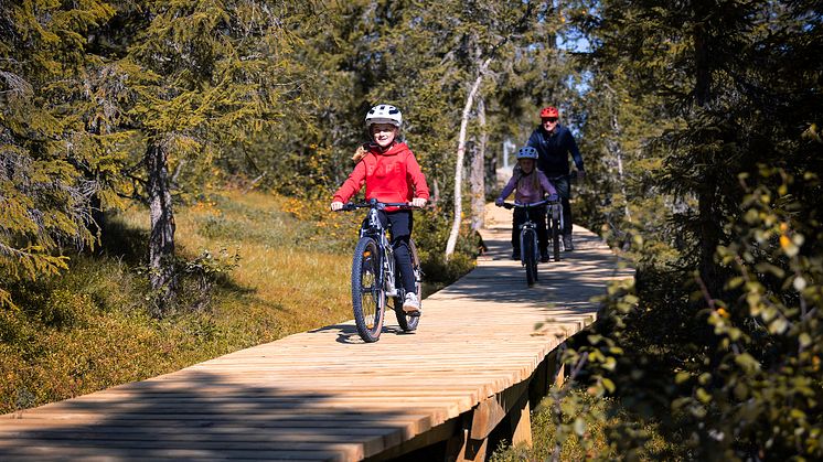Mange vil på en aktiv høstferie, og i Trysil er det sykling som gjelder. Foto: Ola Matsson/SkiStar Trysil