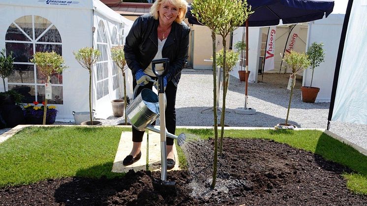 Lena Ek planterar träd i Vi-skogens mini-Afrika i Almedalen