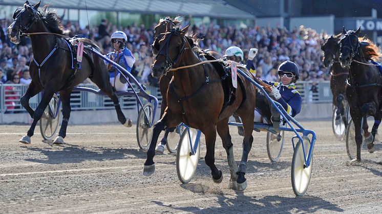 Elitloppet: Hemmahästen Iceland vann – och rekordhelg för ATG 