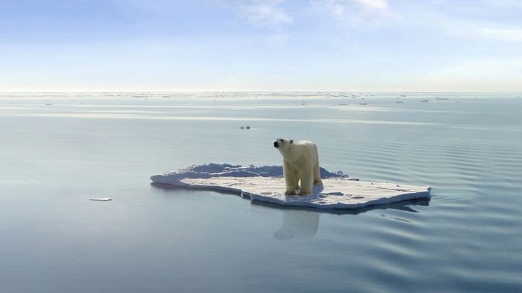 MÄNNISKA OCH  NATUR: Klimatförändringarnas historia