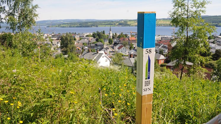 Stolpejakten er lavterskel orientering, hvor alle kan delta gratis. Nå får Foreningen Stolpejakten støtte til å videreutvikle tilbudet, med mål om enda flere stolpejegere. (Foto: Stolpejakten Gjøvik)