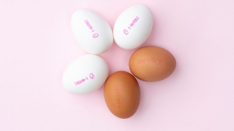 Ägg_FrånSverige.jpg