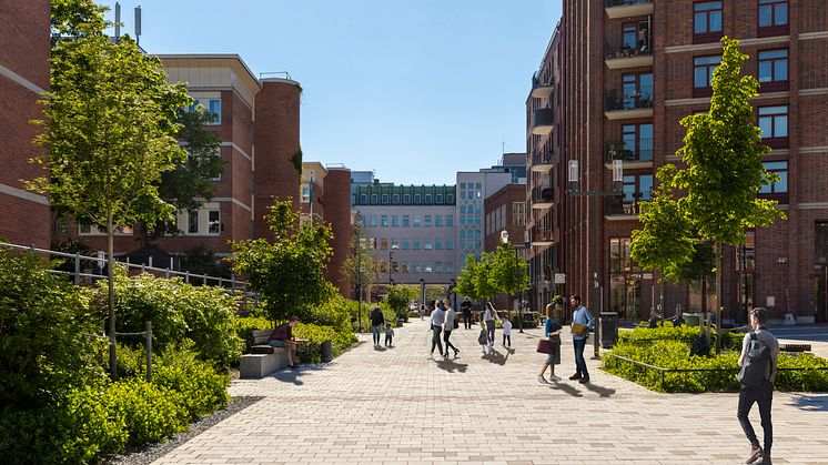 Vasagatan i Fabriksparken