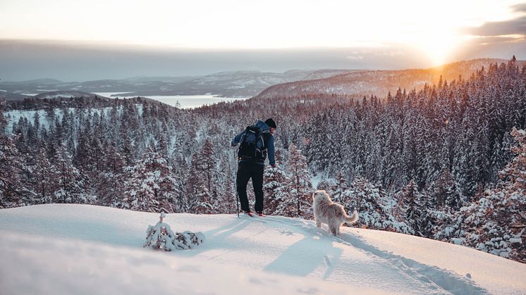 2020 – ett nytt decennium väntar