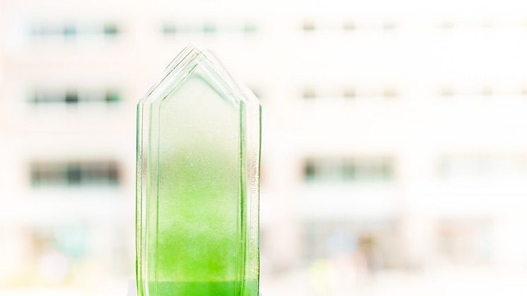 Sweden Green Building Awards 2021