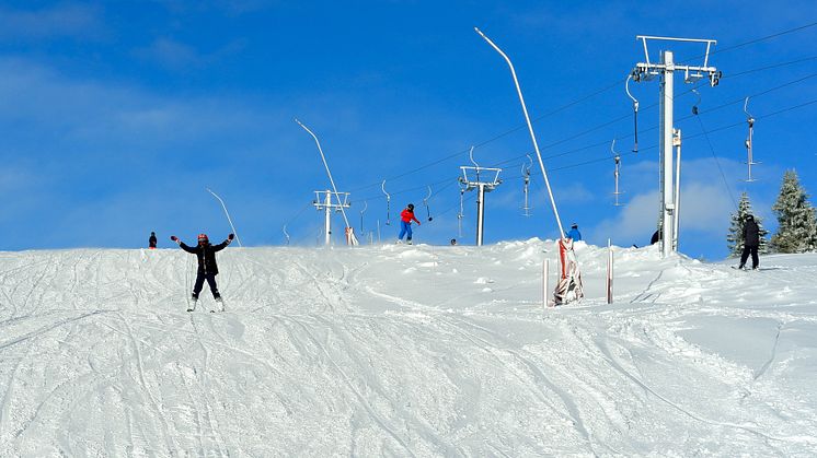 Stø på snø - Foto: Ole Jørgen Grumstad