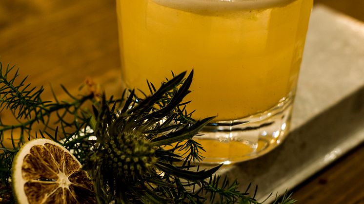 JULENS DRINKAR FRÅN ARCUS 2013