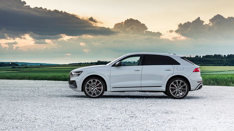 Audi Q8 60 TFSI e quattro (Gletsjerhvid)