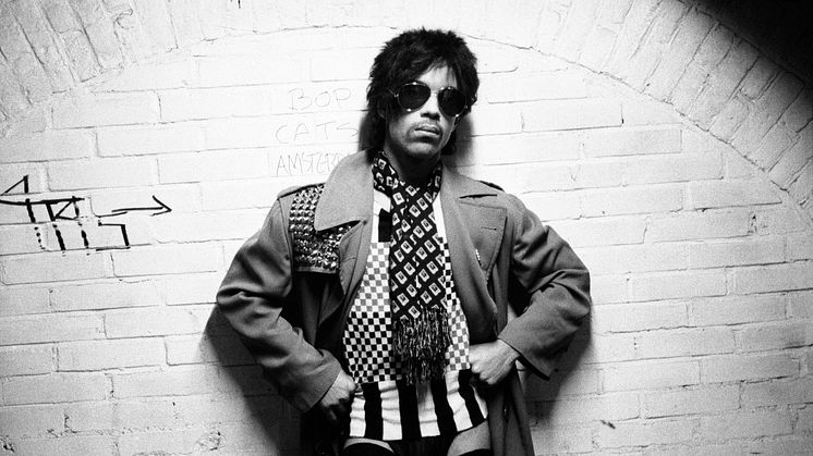Prince (c) Virginia Turbett