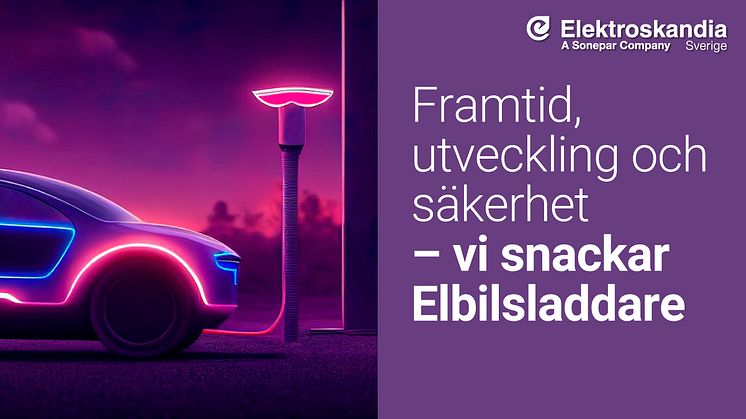 Röster från några av Elektroskandias etablerade leverantörer av elbilsladdare