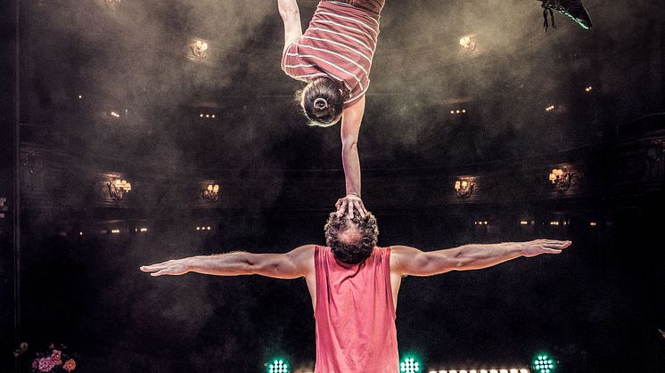 Cirkus Cirkör Bloom. Foto: Mats Bäcker