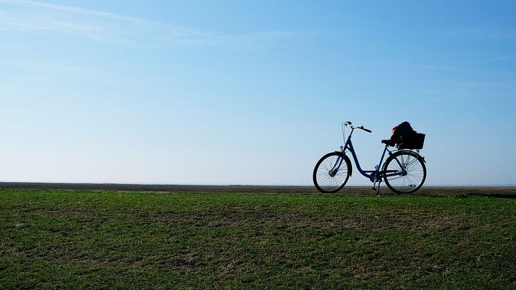 Tyskland er som skabt til aktiv ferie med godt skiltede stier til både vandrere og cyklister.