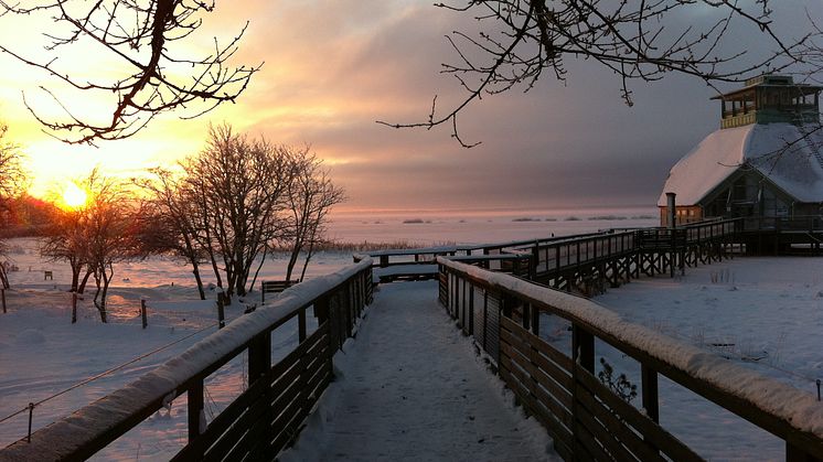 Snö vid Hornborgasjön