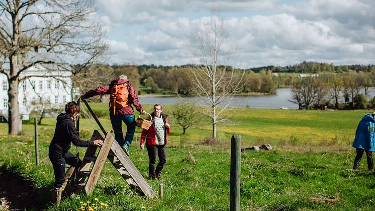 TheEdibleCountry_20190513_FotografEmmaIvarsson-1 (1)