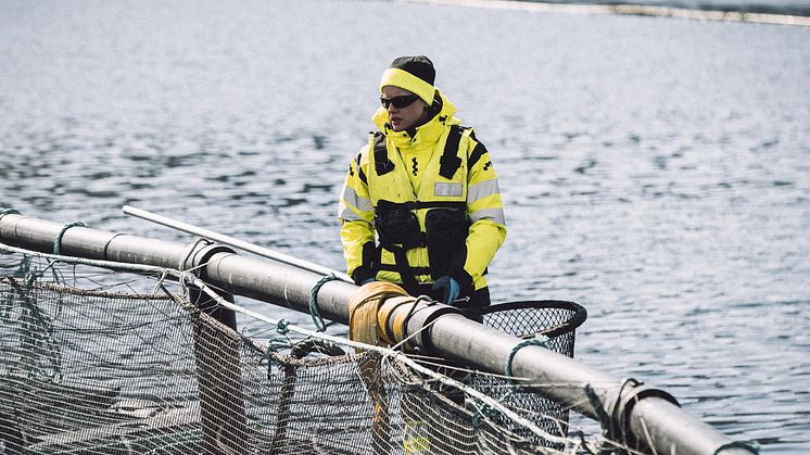 Merde i Lofoten