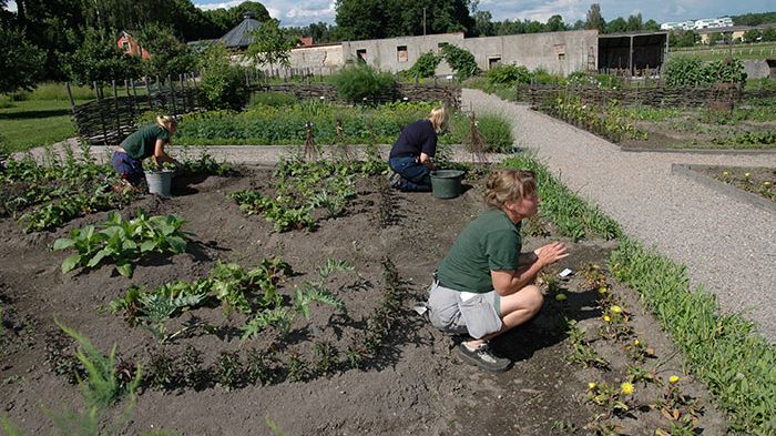 Örebro kommun erbjuder feriepraktik till 2000 ungdomar.