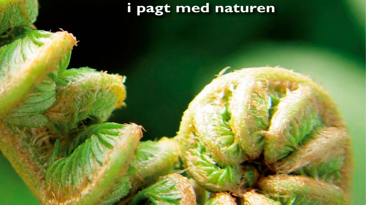 Turen går til New Zealand